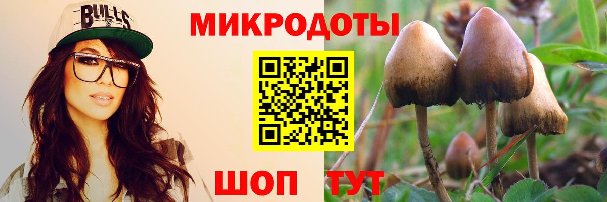 Псилоцибиновые грибы мухоморы Благовещенск